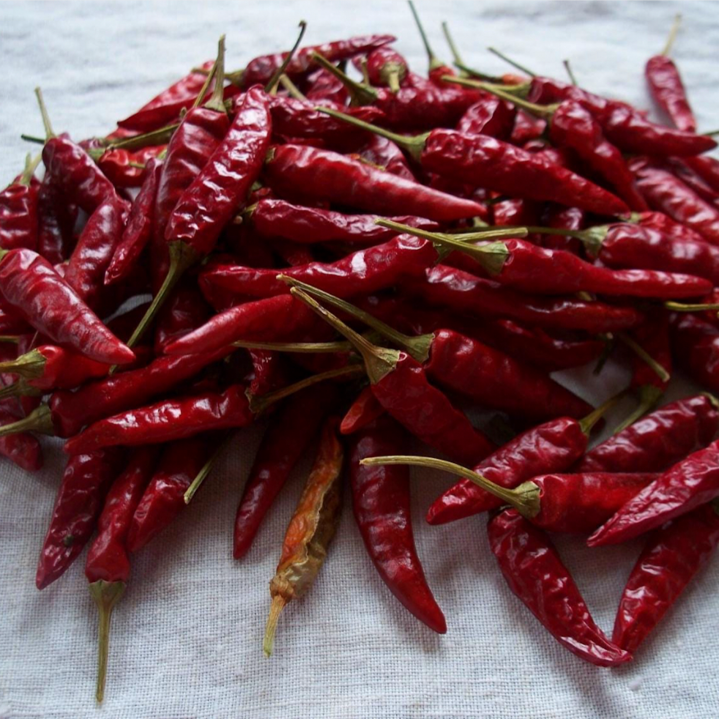 DRAGON CAYENNE PEPPER SEEDS