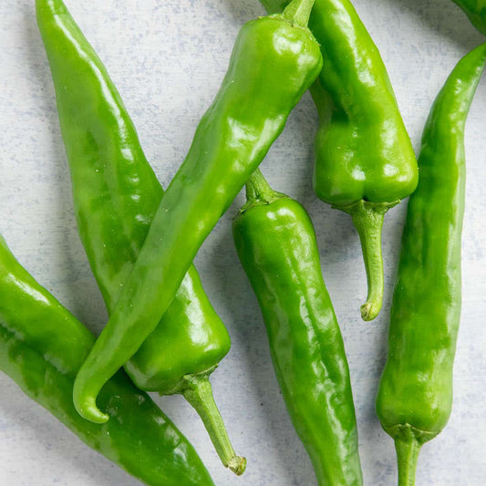 LUMBRE HATCH CHILI SEEDS