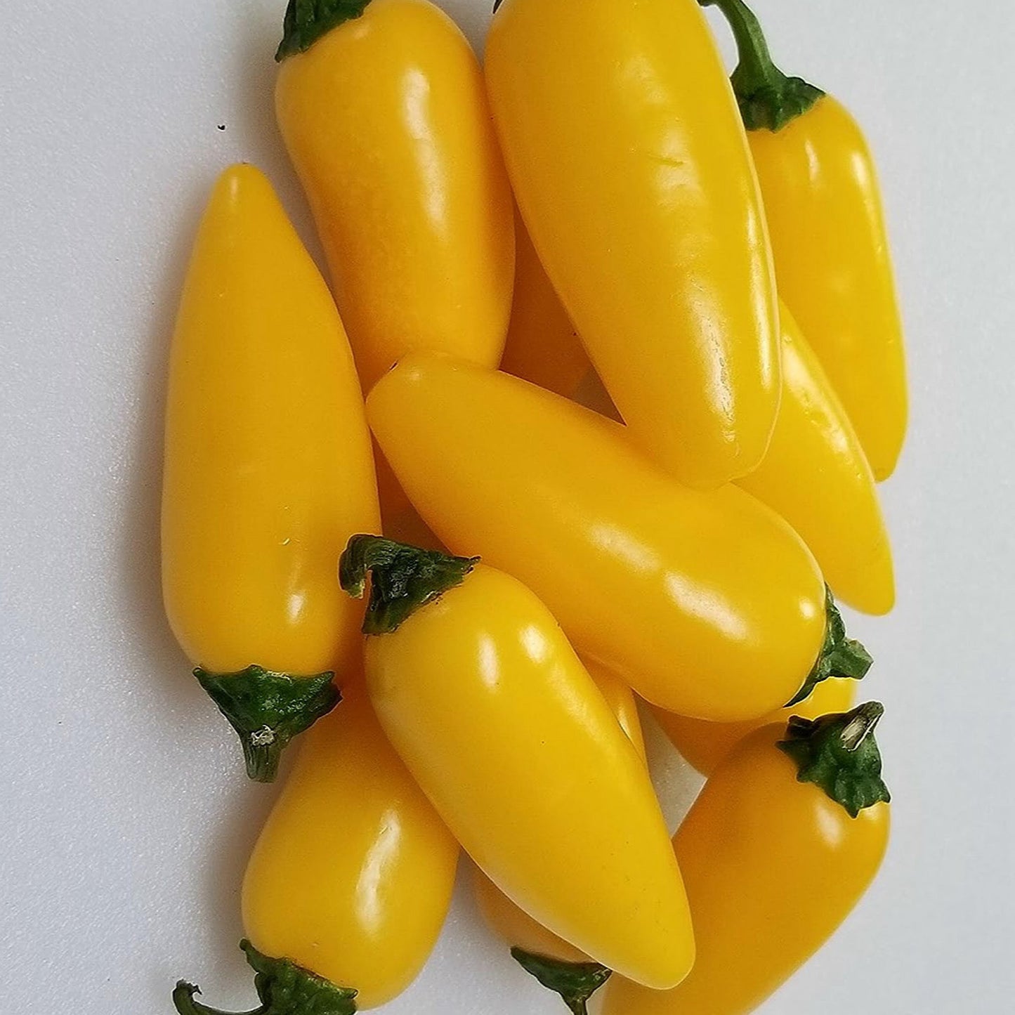 LEMON SPICE JALAPEÑO PEPPER SEEDS