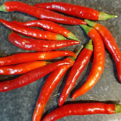 THAI DRAGON PEPPER SEEDS