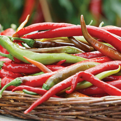 THAI DRAGON PEPPER SEEDS