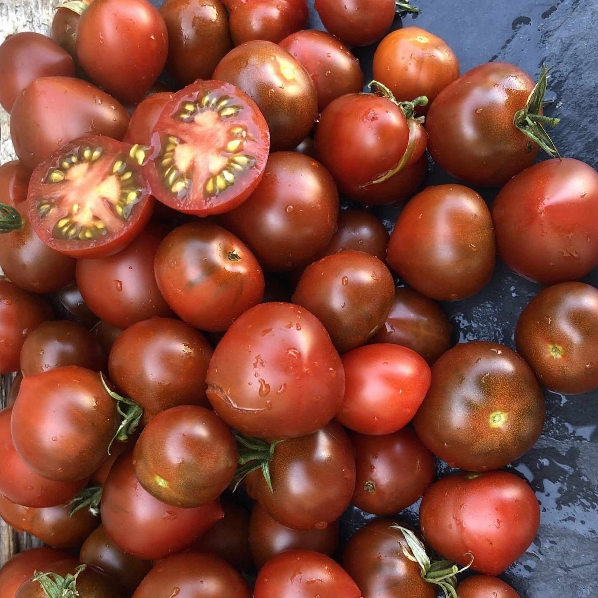 【tomato】 Jewelry Box Tomato Mix Seeds - Solanum lycopersicum – Cicada Seeds