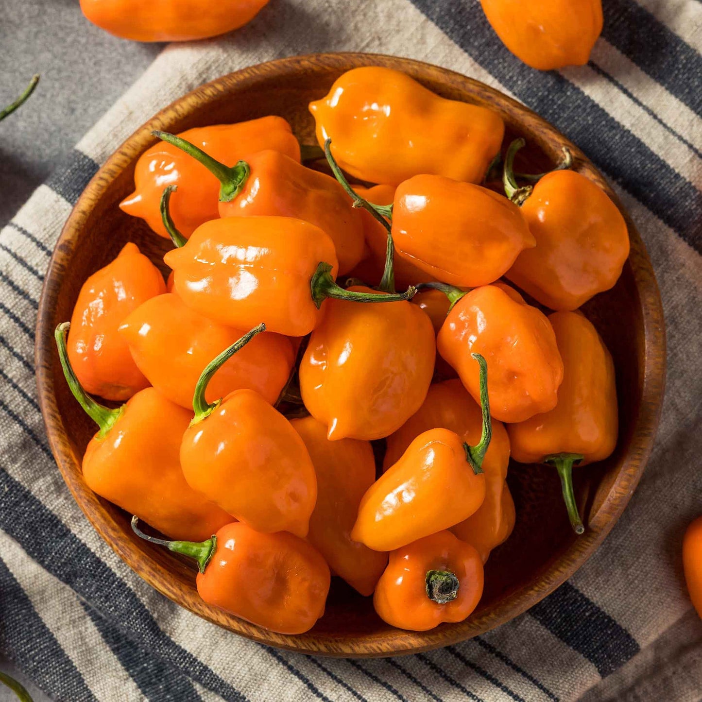 ORANGE HABANERO PEPPER SEEDS