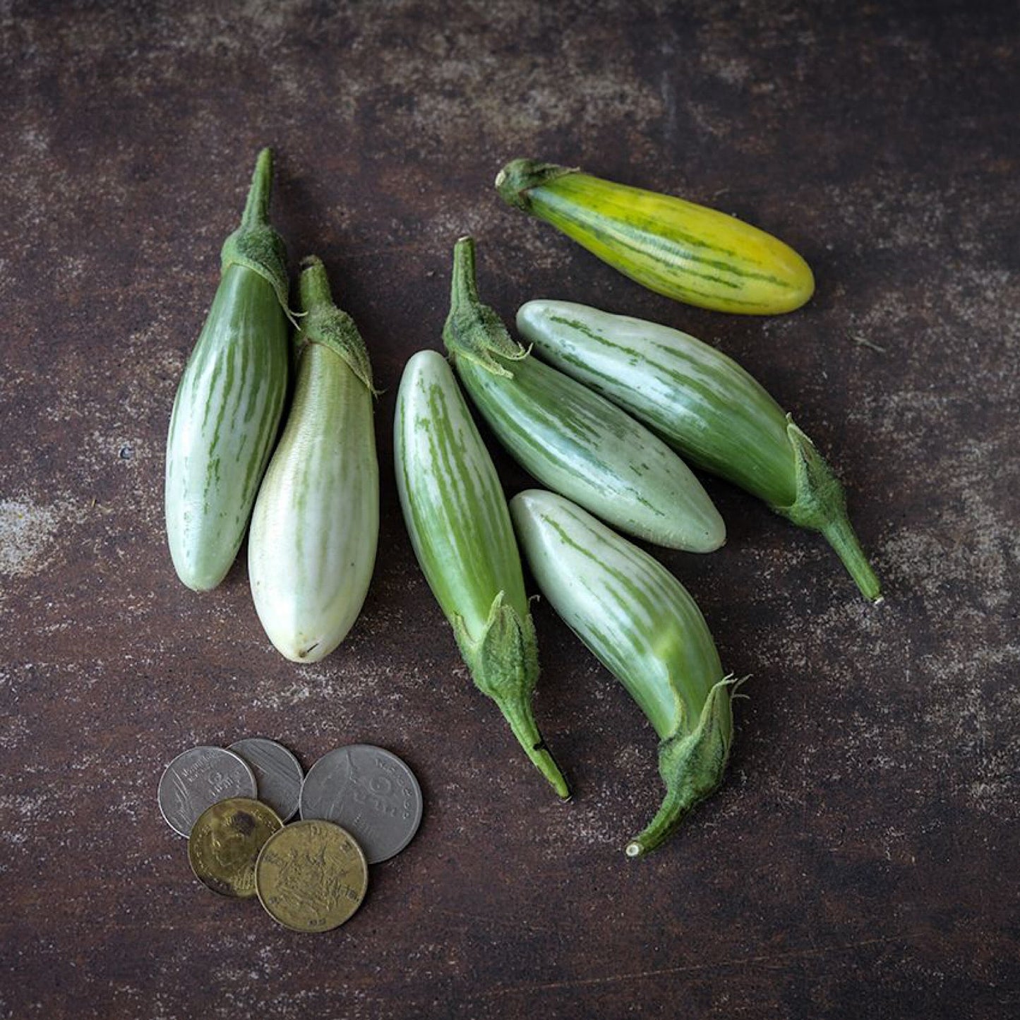 Thai Green Frog Fingers Eggplant Seeds