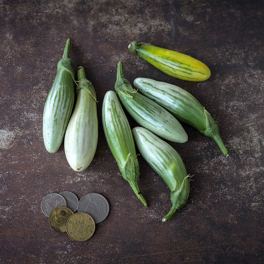 Thai Green Frog Fingers Eggplant Seeds