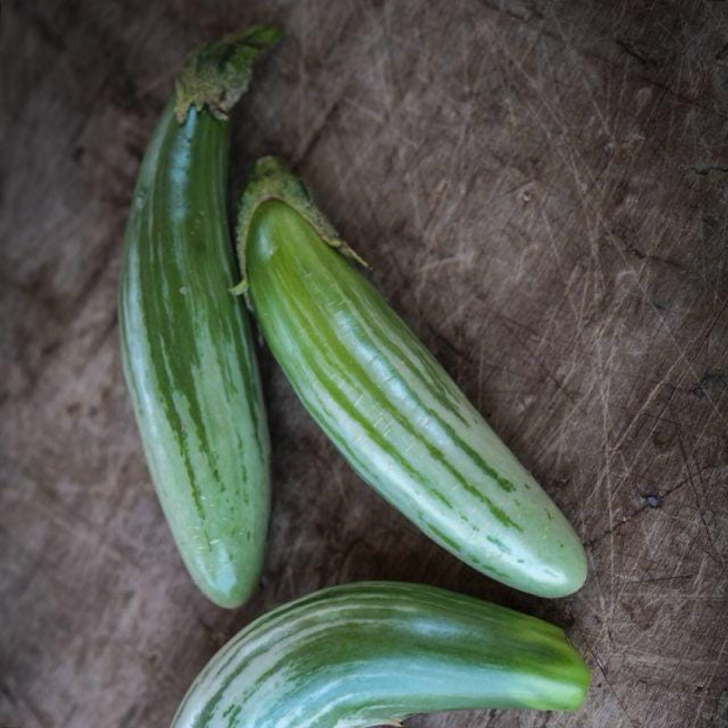 Thai Green Frog Fingers Eggplant Seeds