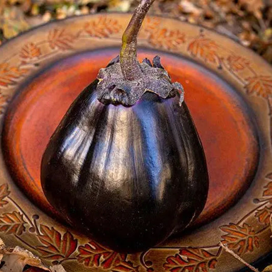 Mitoyo Eggplant Seeds