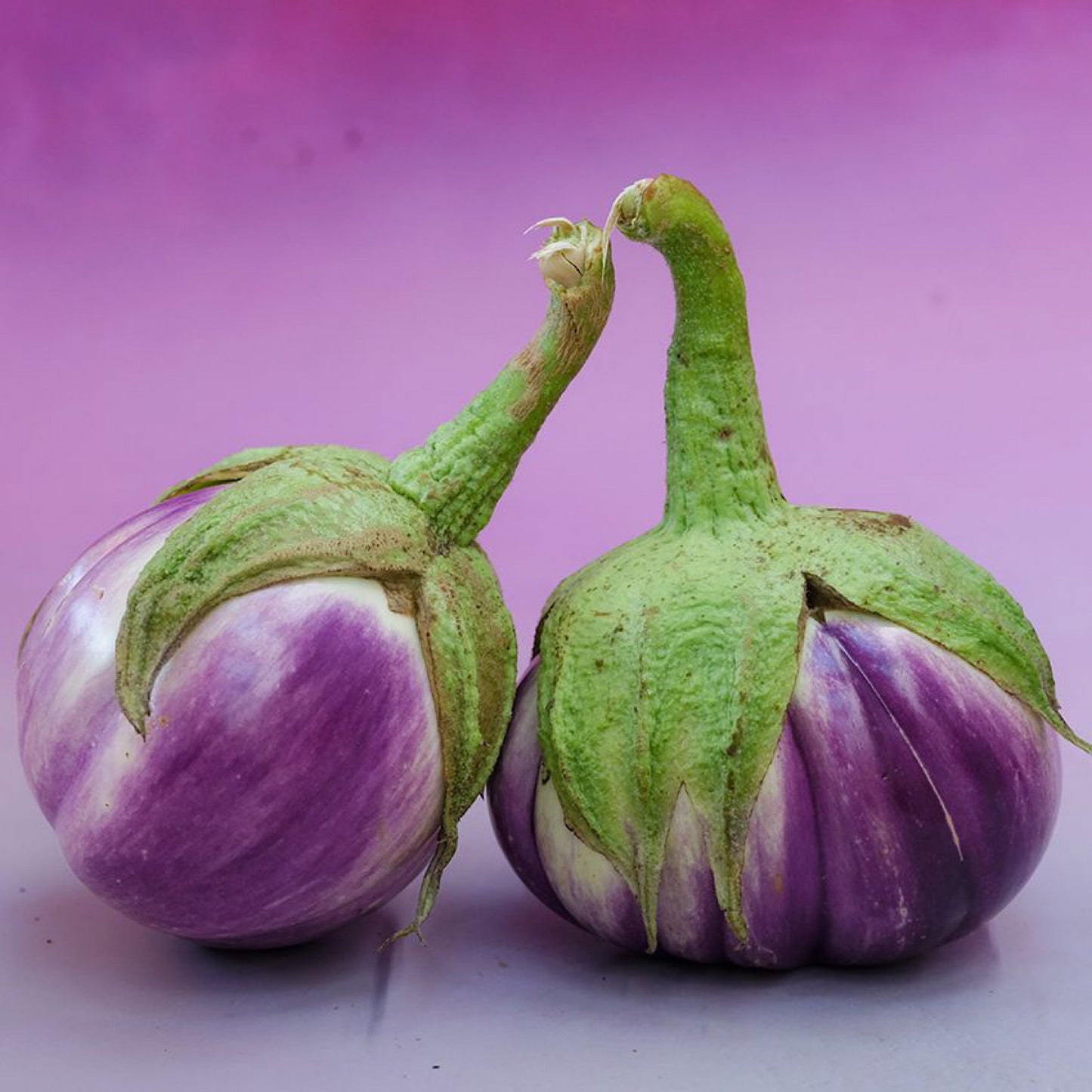 ROSA BIANCA EGGPLANT SEEDS
