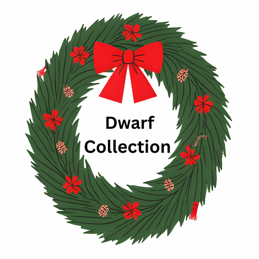 2025 Advent Calendar Dwarf Tomato Collection