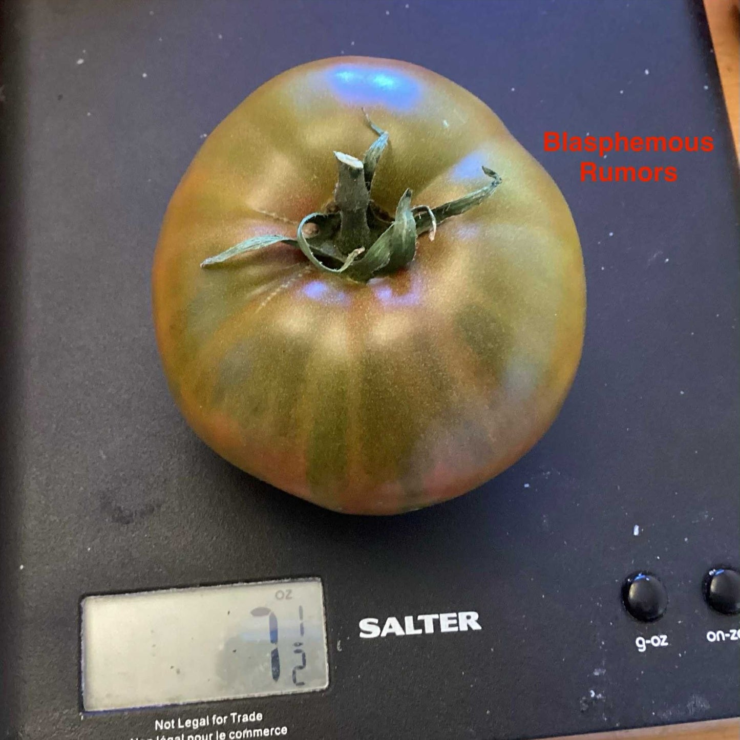 Blasphemous Rumors Tomato Seeds