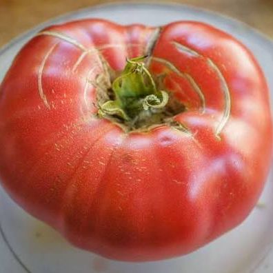 Babushkina Radost Russian Tomato Seeds