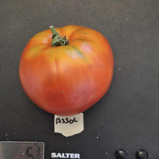 Assol (Alsou) German Tomato Seeds