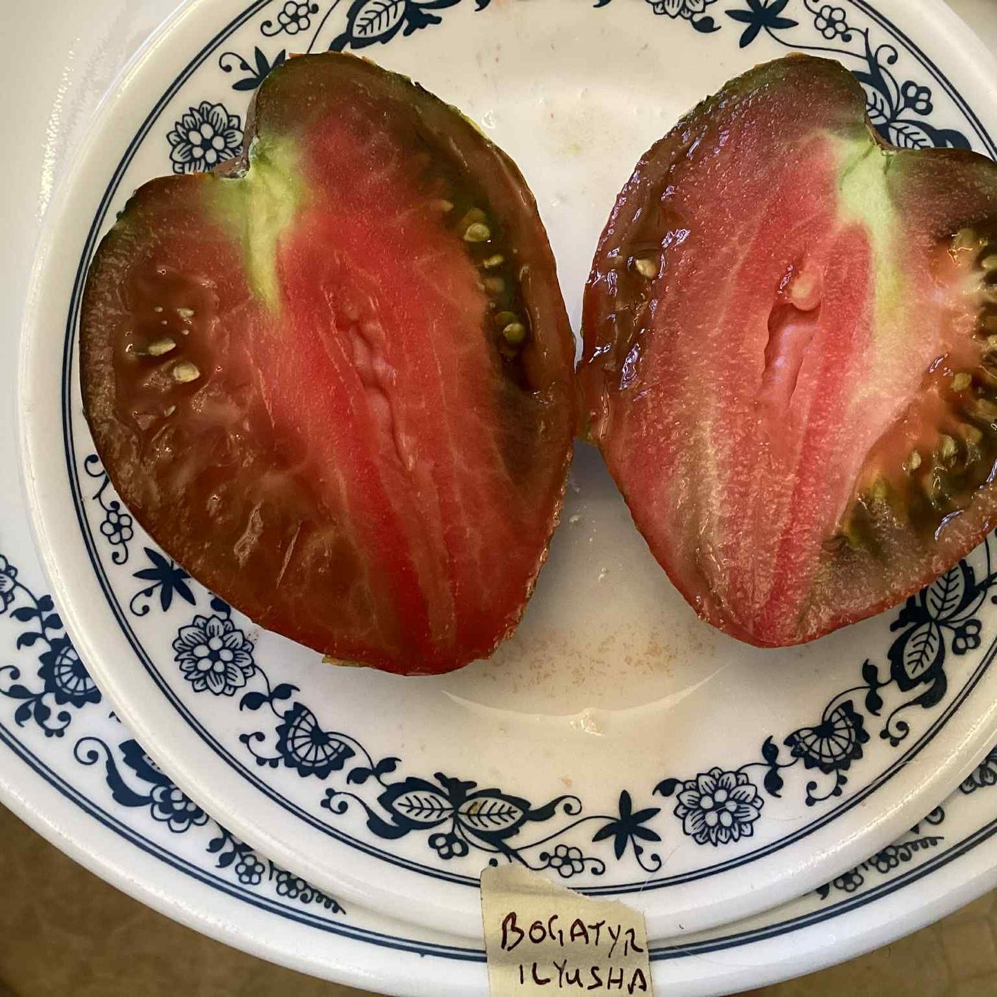 Bogatyr Ilyusha Tomato Seeds