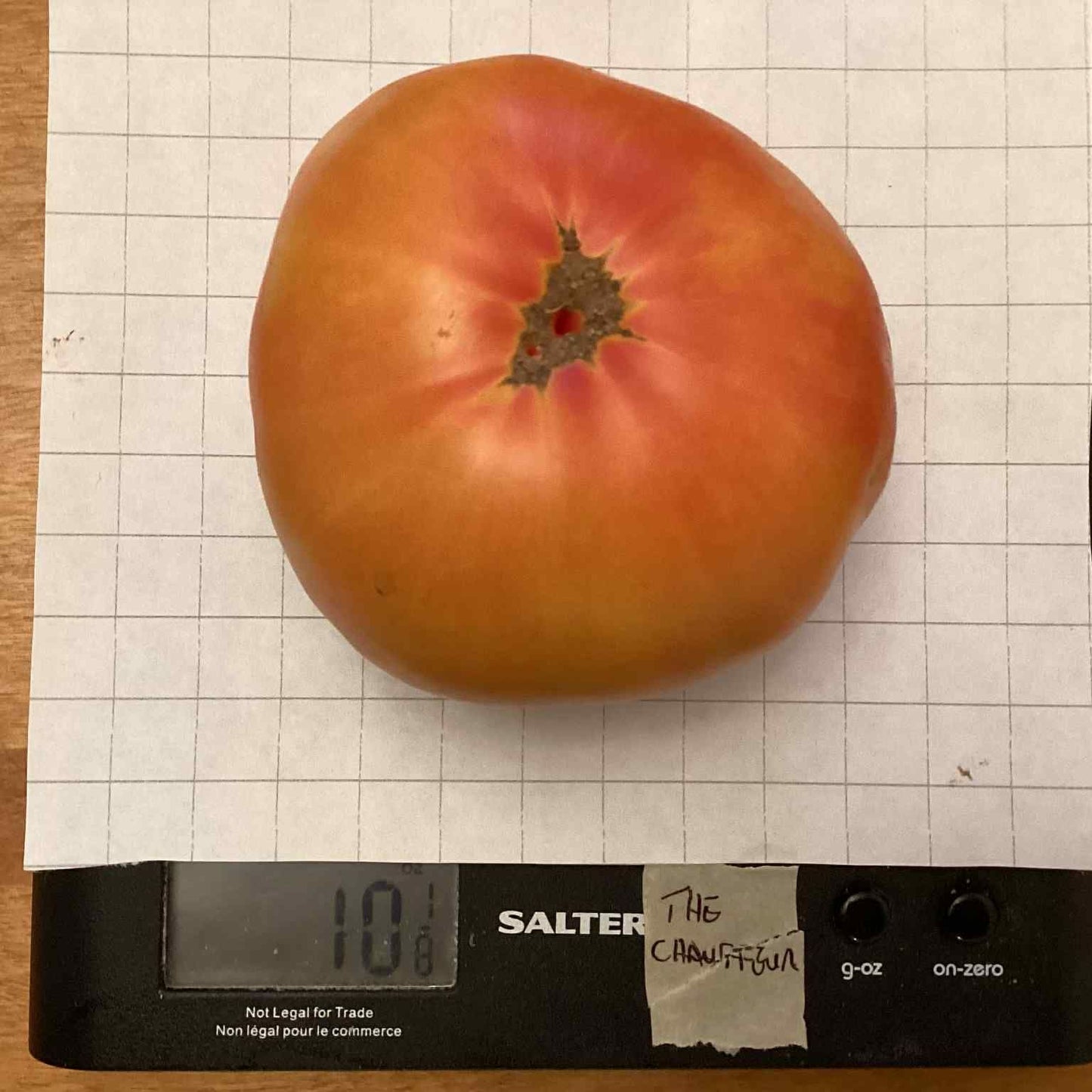 Chauffeur Tomato Seeds