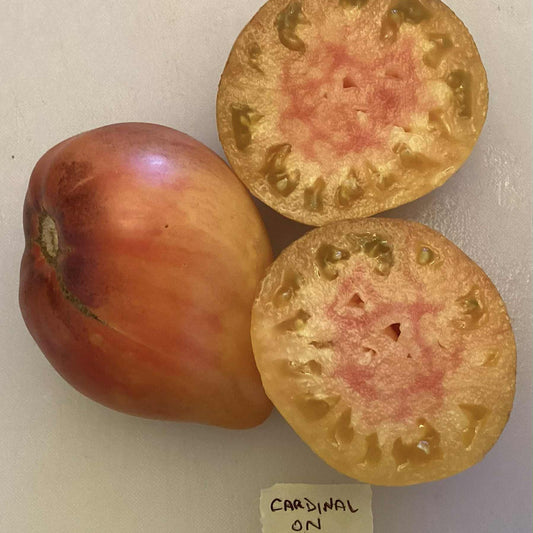 Cardinal on the Straw