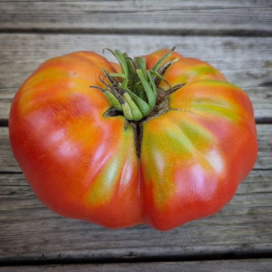 Rouge de Riez Tomato Seeds
