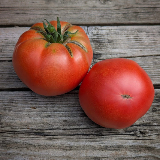 Très Belle de Dordogne