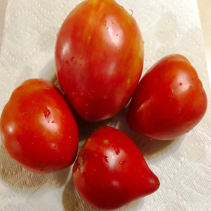German Red Strawberry Tomato Seeds