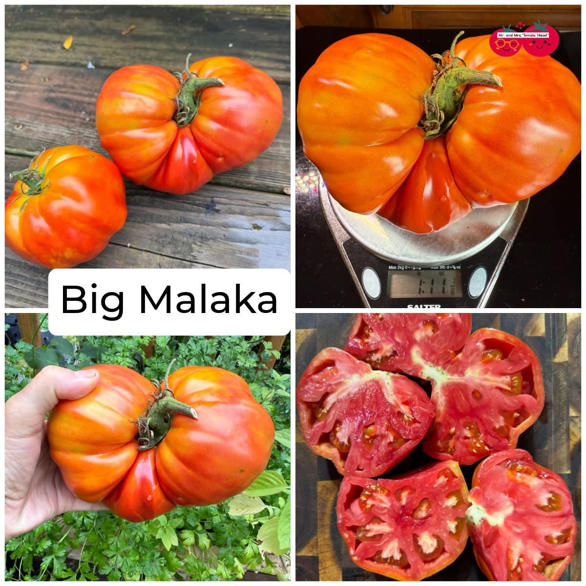 Big Malaka