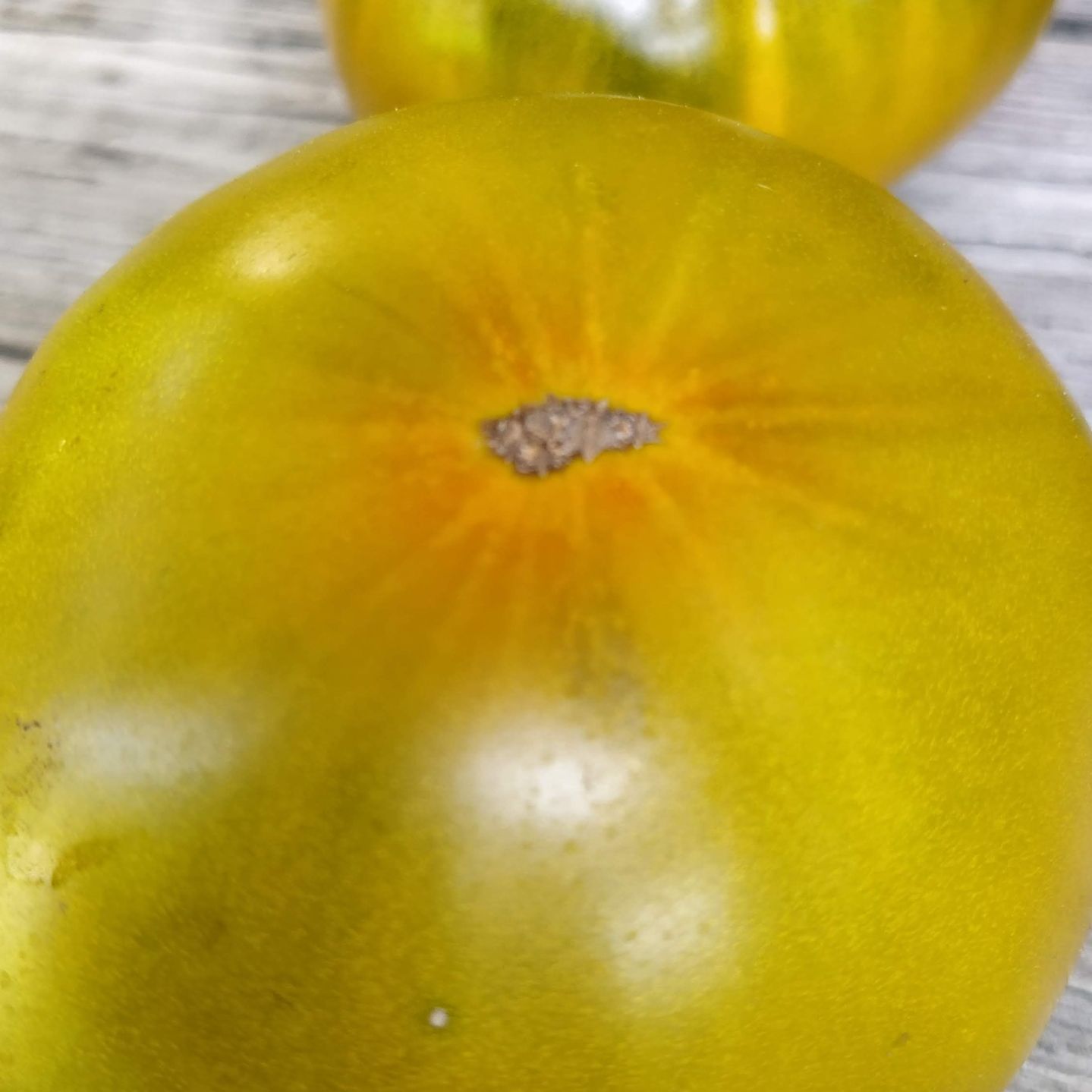 Marmande Verte