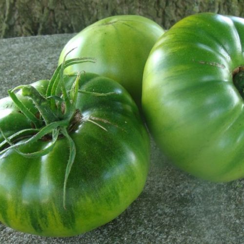 Marmande Verte