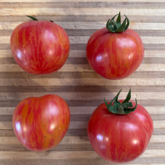 RASPBERRY BERET TOMATO SEEDS BY BILL YODER