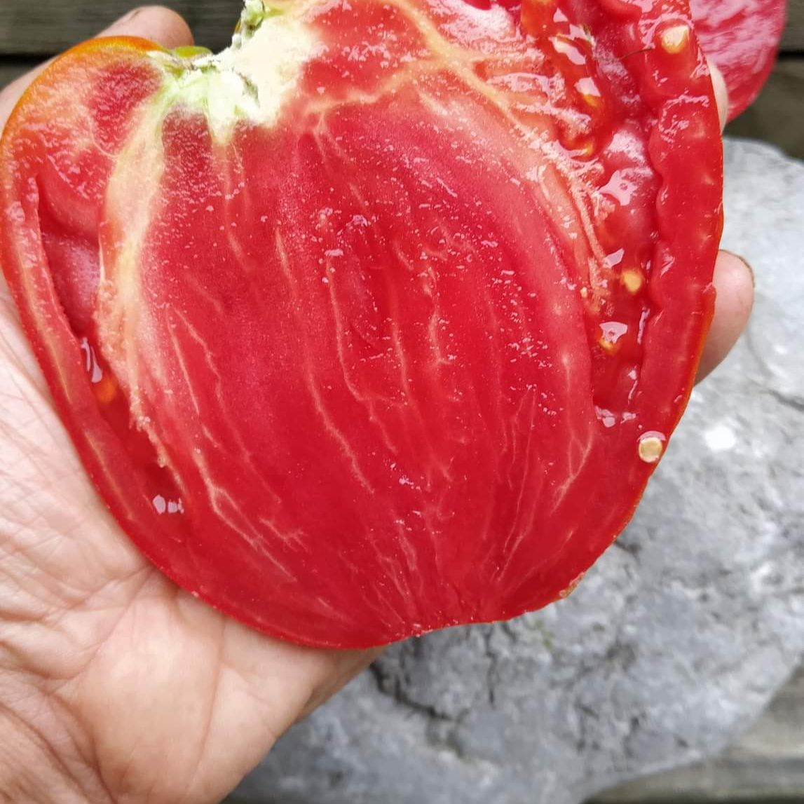 Pomodoro Cuore Antico di Acqui Terme