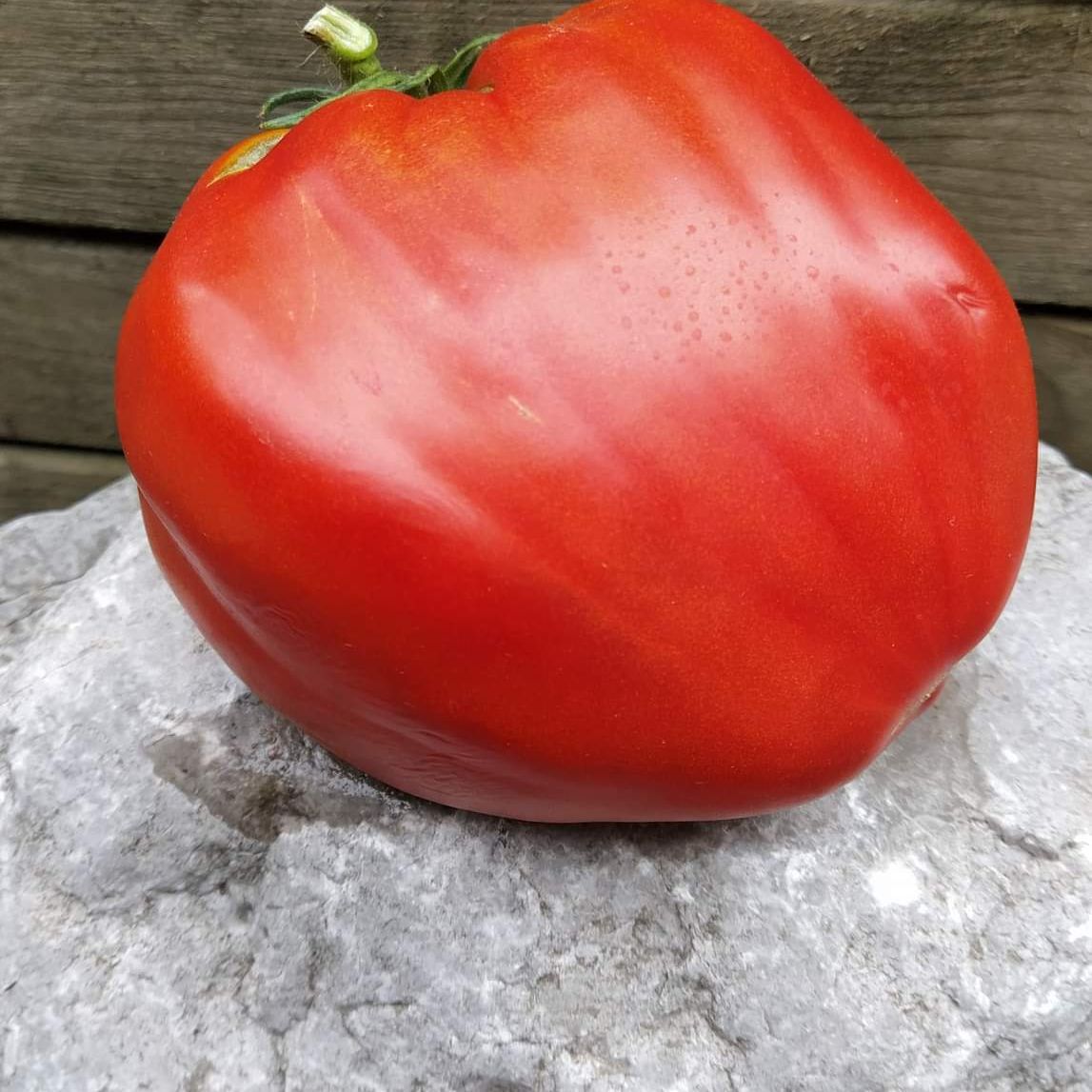 Pomodoro Cuore Antico di Acqui Terme