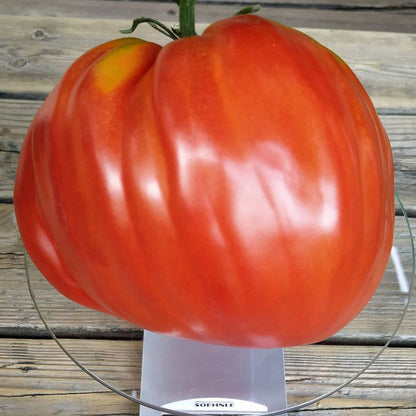 Pomodoro Cuore Antico di Acqui Terme