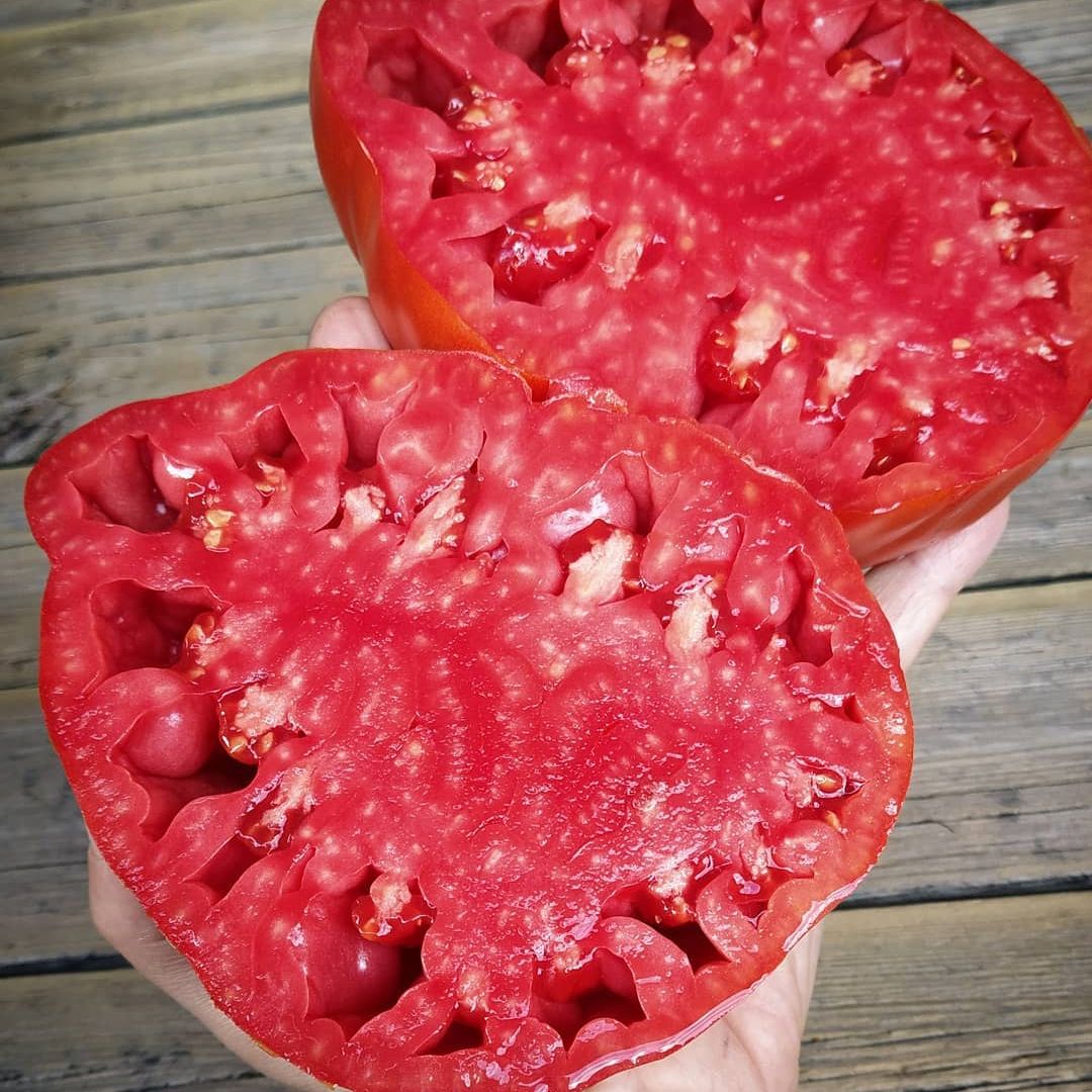 Pomodoro Cuore Antico di Acqui Terme