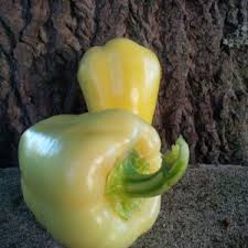 Cece Pepper