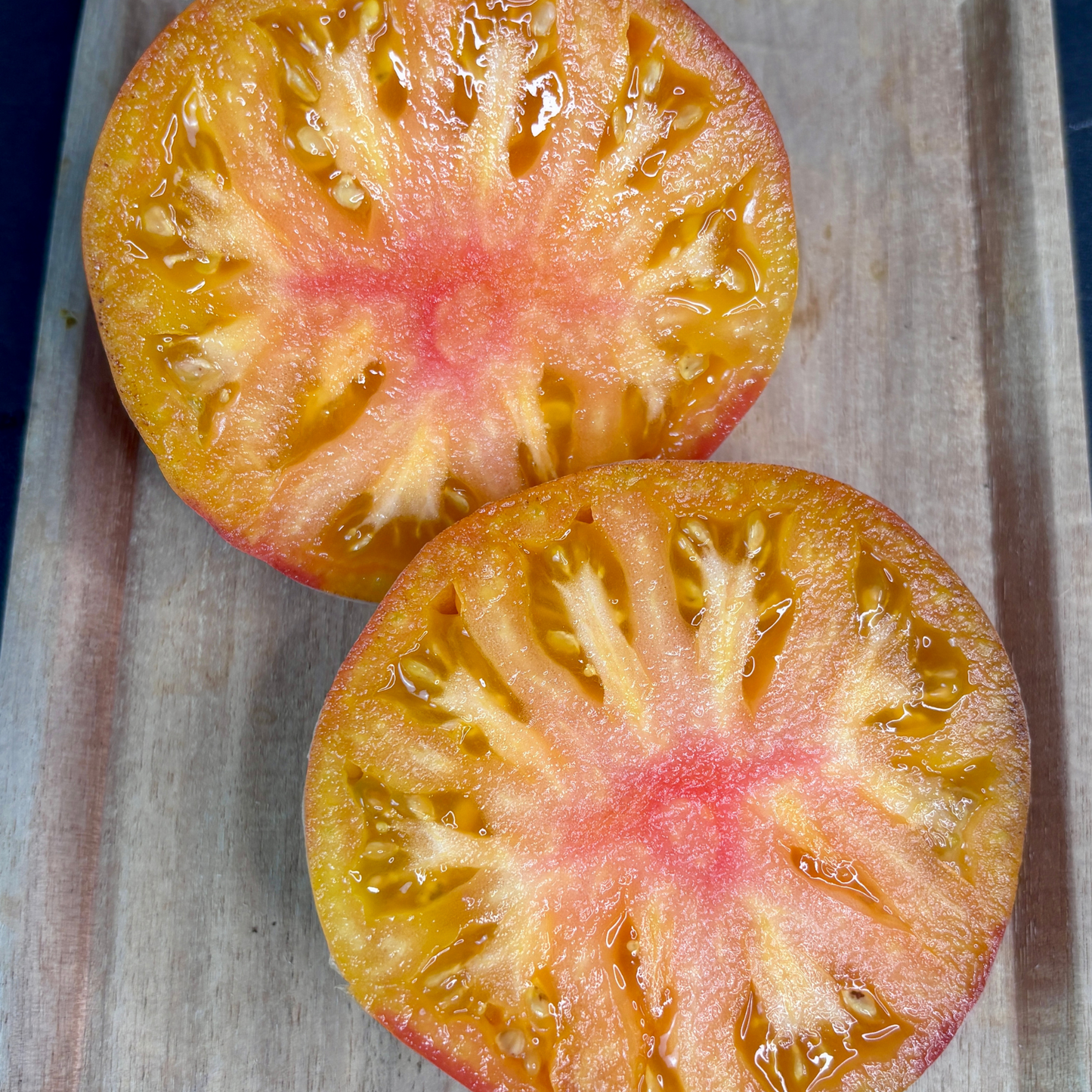 COME UNDONE TOMATO SEEDS BY BILL YODER