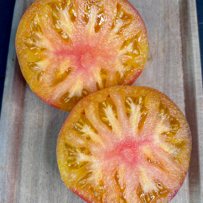 COME UNDONE TOMATO SEEDS BY BILL YODER