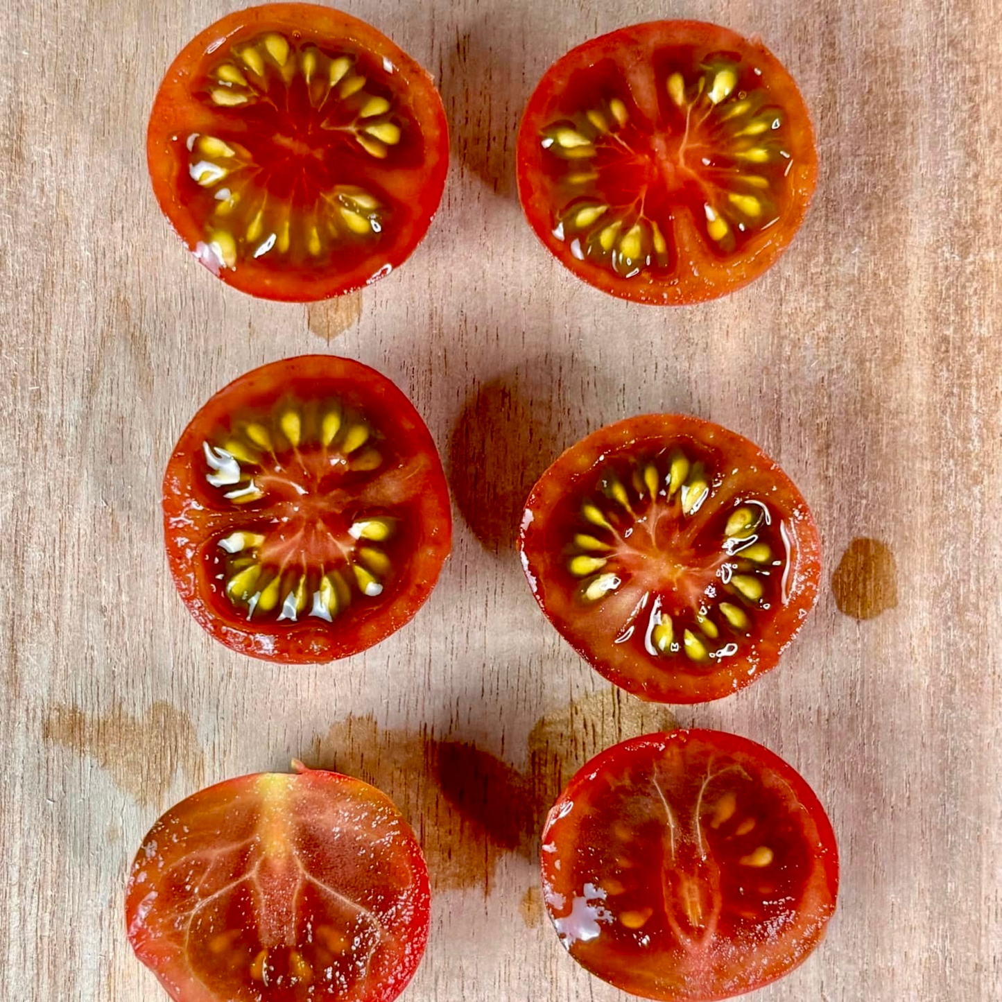 CONTROVERSY TOMATO SEEDS BY BILL YODER