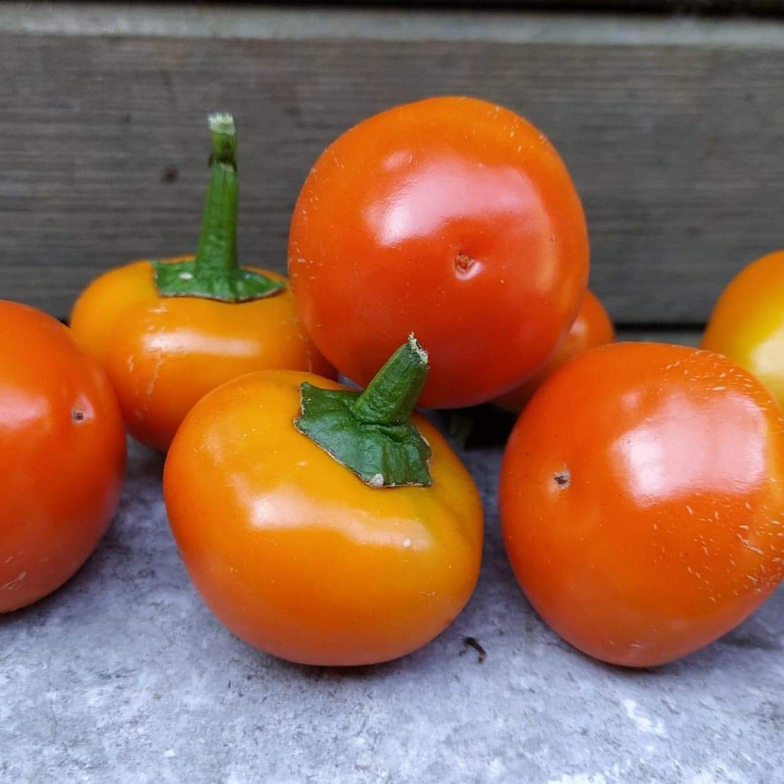 Golden Peppādew