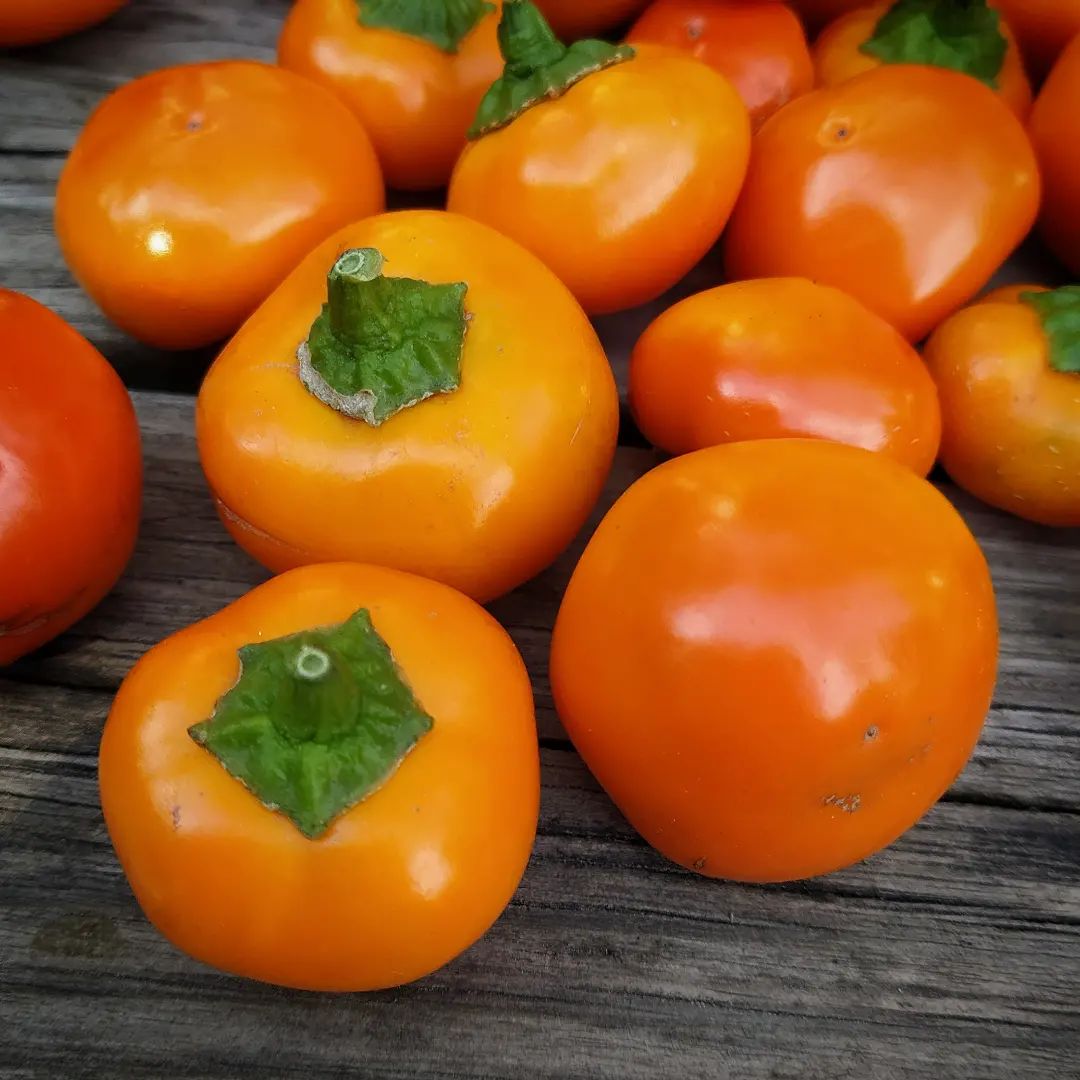 Golden Peppādew