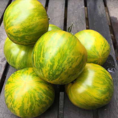 Green Zebra