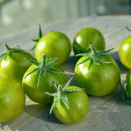 Grinch Cherry Dwarf