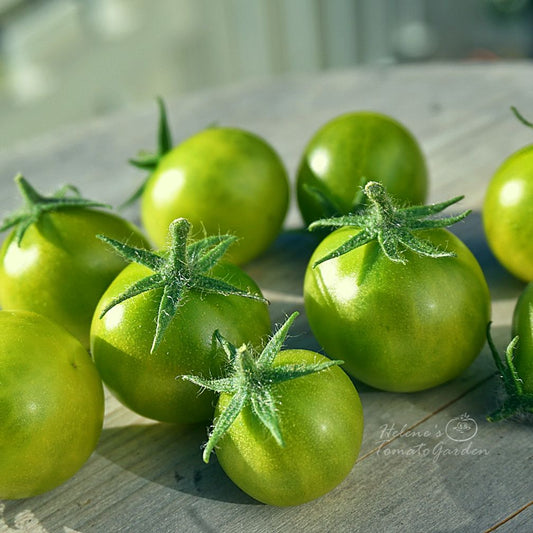 Grinch Cherry Dwarf