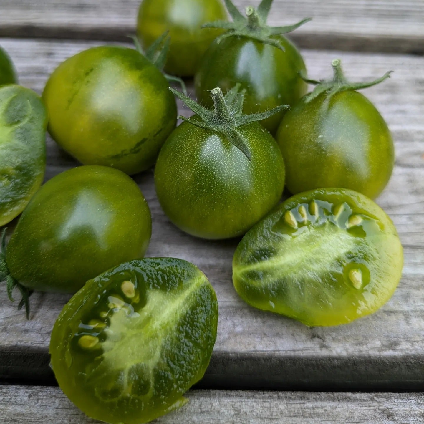 Grinch Cherry Dwarf