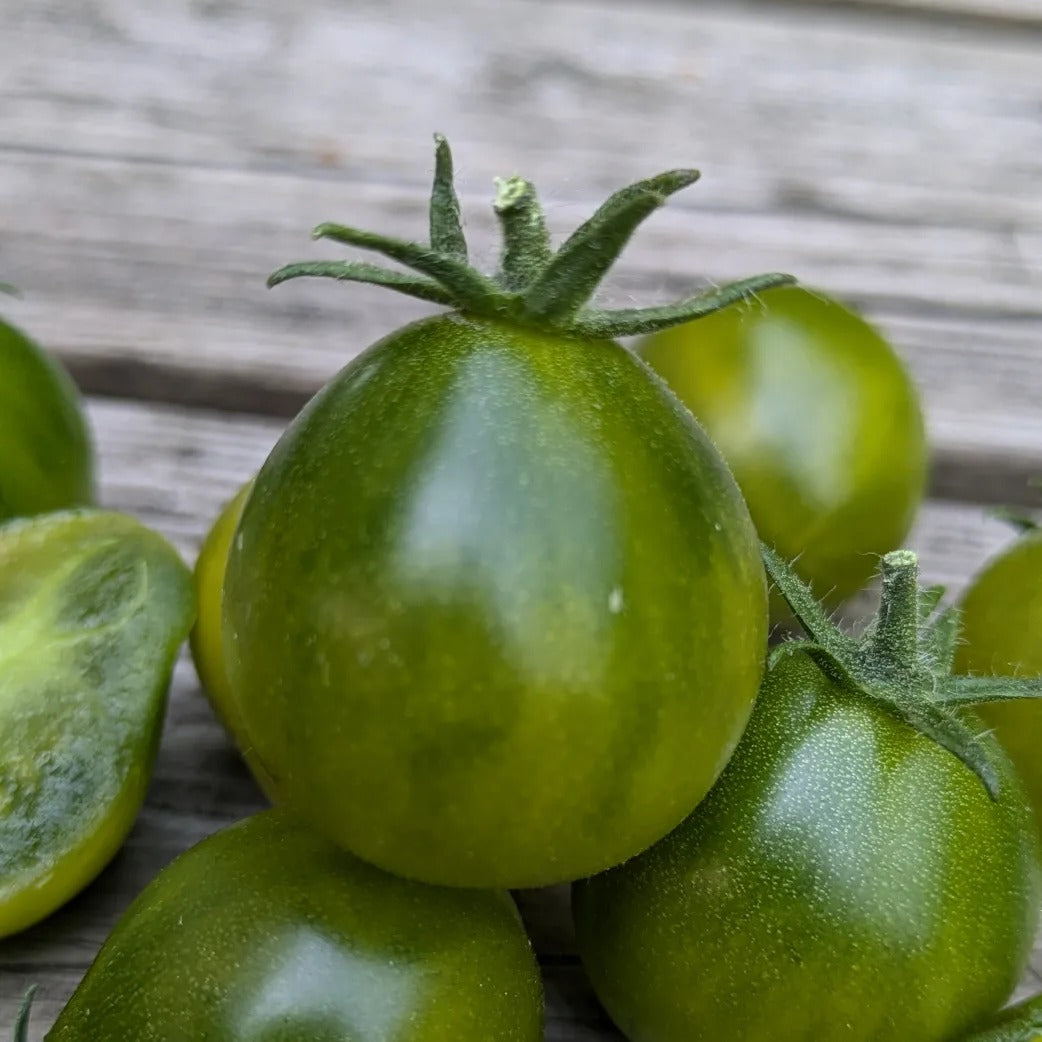 Grinch Cherry Dwarf