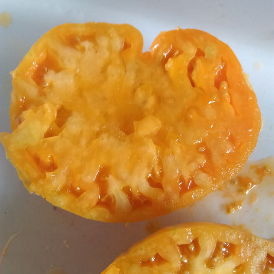 Orange Jazz