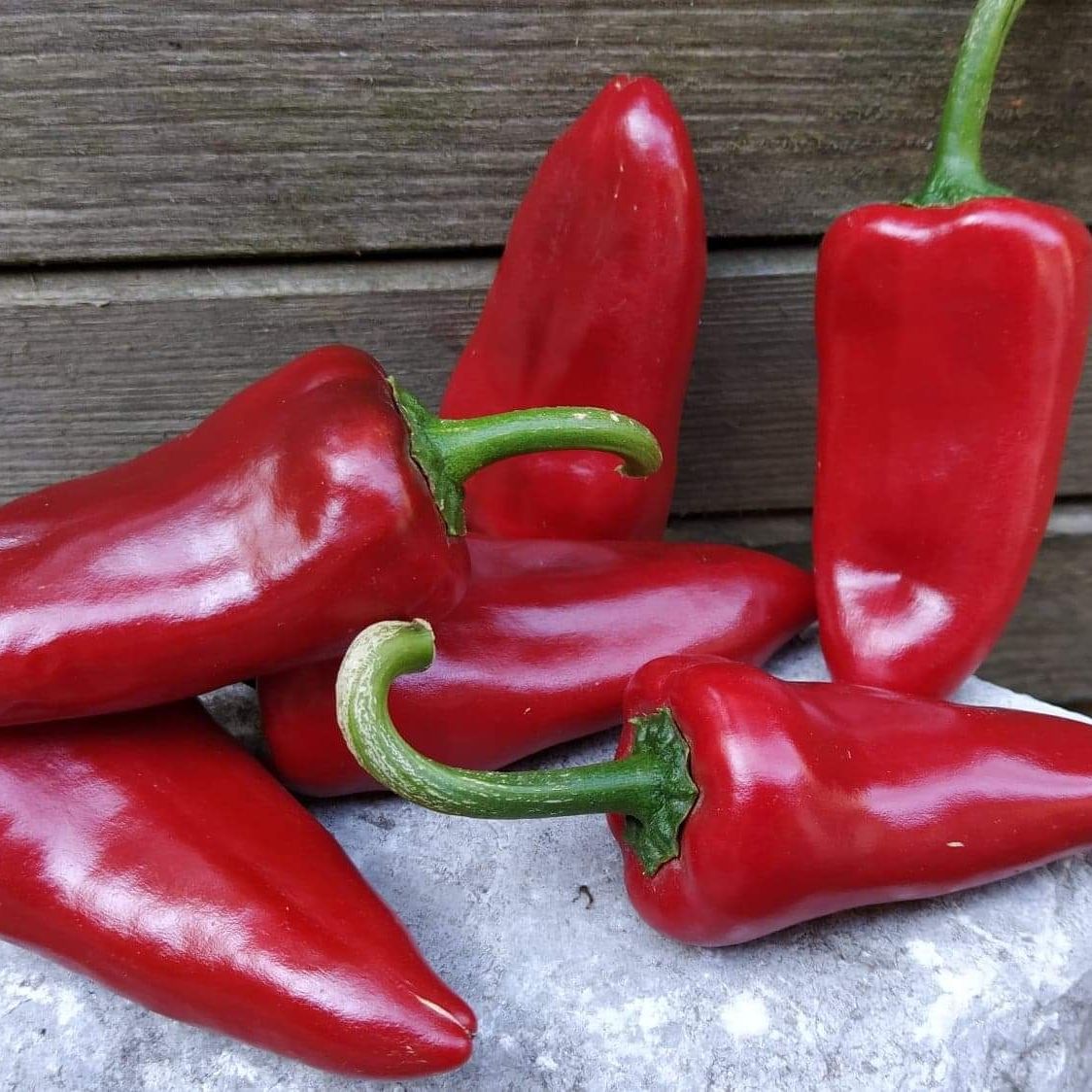 Piquillo Lodosa Basque Pepper
