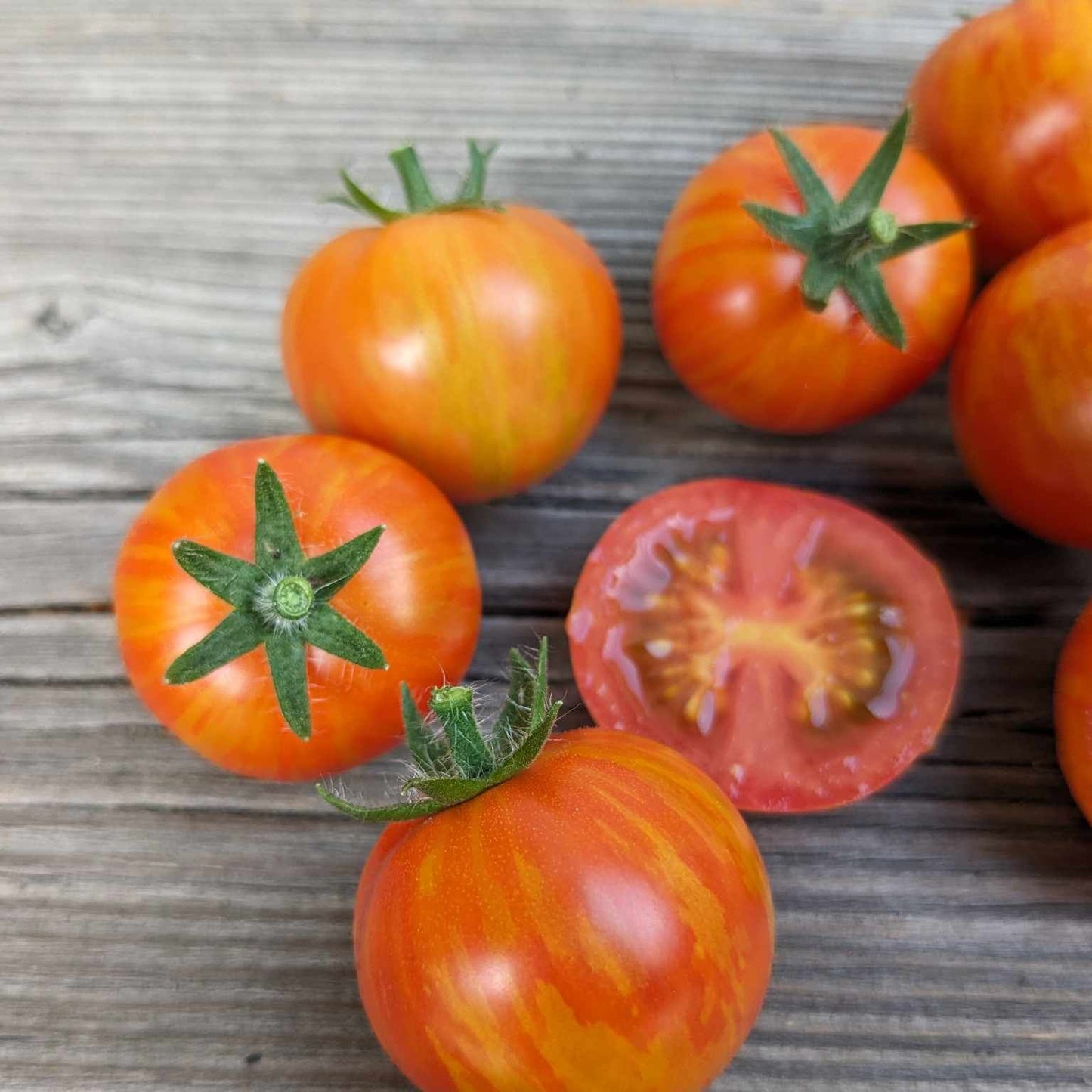 Ruby Slippers Dwarf Tomato Seeds