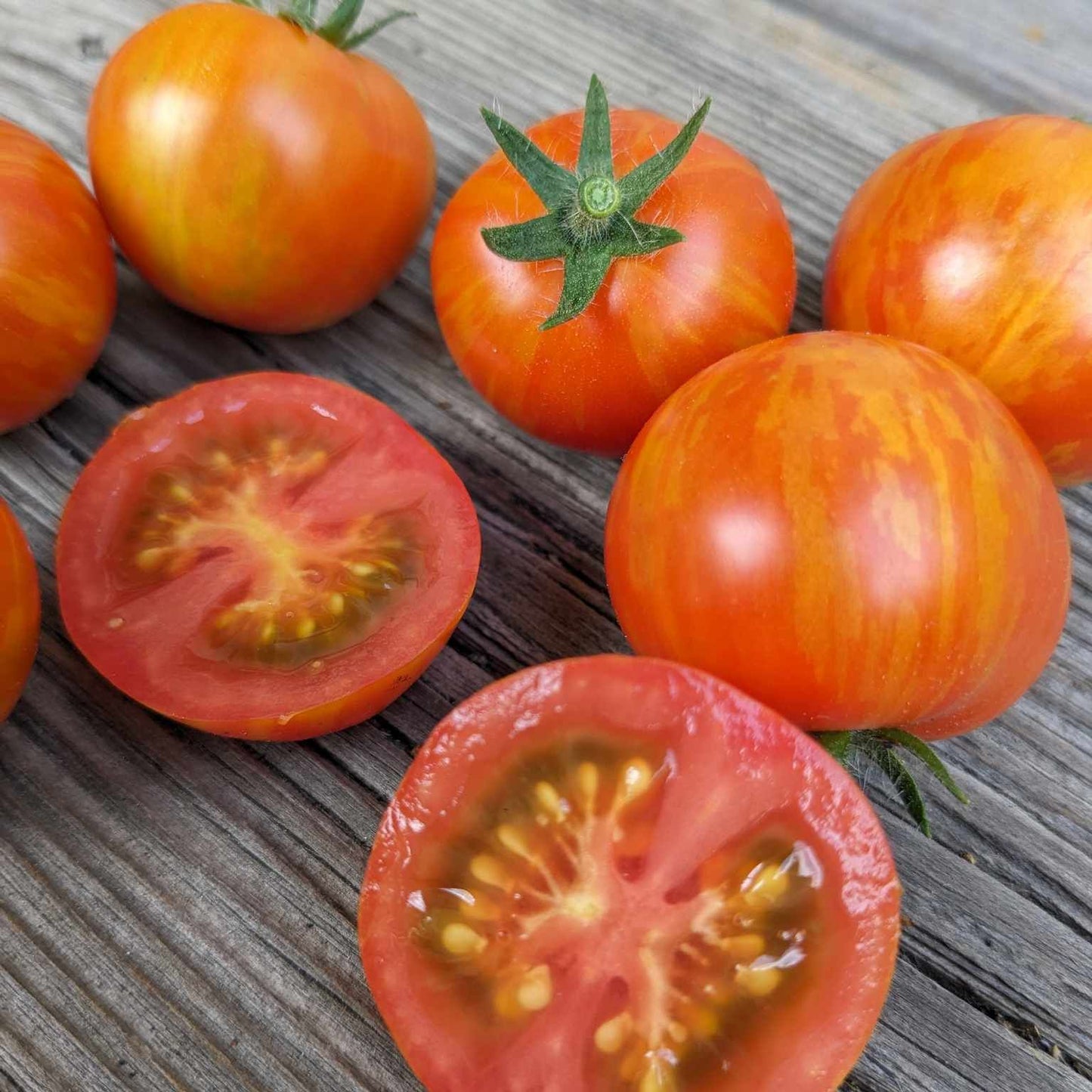 Ruby Slippers Dwarf Tomato Seeds