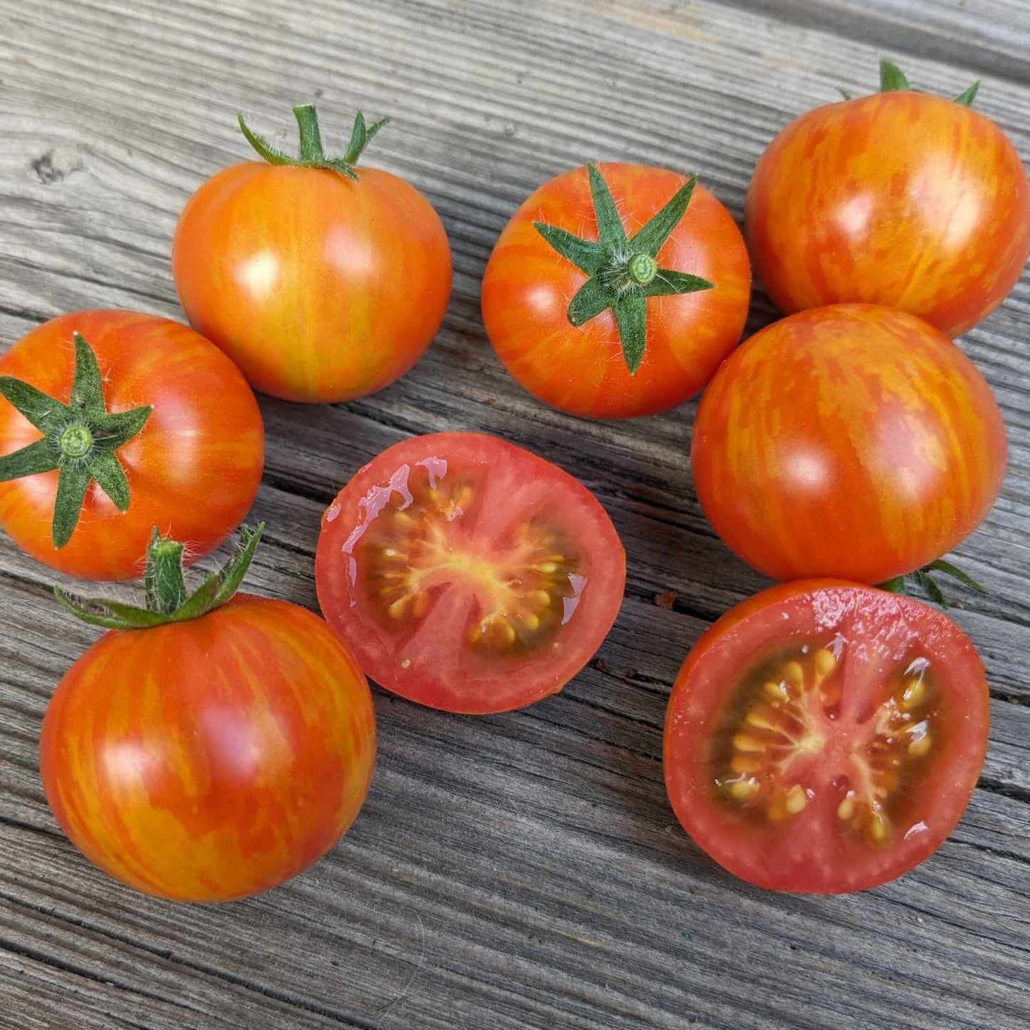 Ruby Slippers Dwarf Tomato Seeds