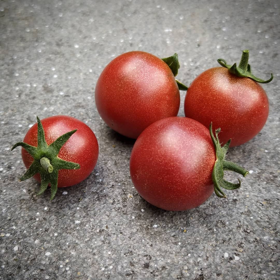 Reinhard Kraft’s Purple Sugar Cherry