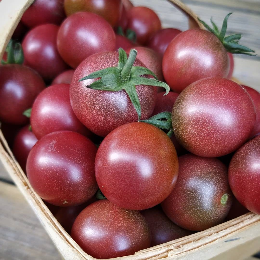 Reinhard Kraft’s Purple Sugar Cherry