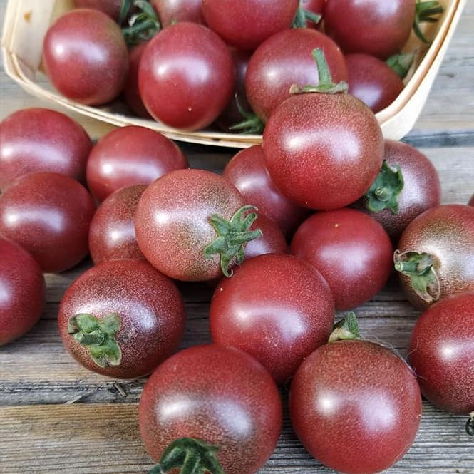 Reinhard Kraft’s Purple Sugar Cherry