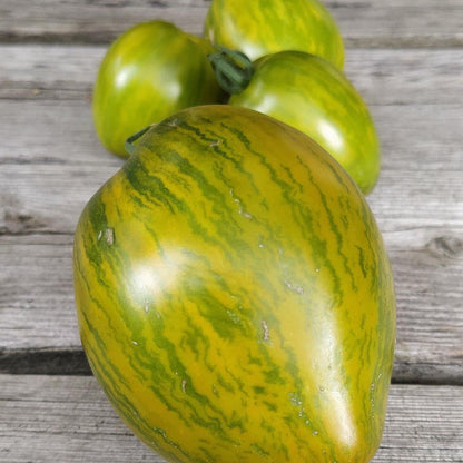 Saucy Mary Dwarf Tomato Seeds